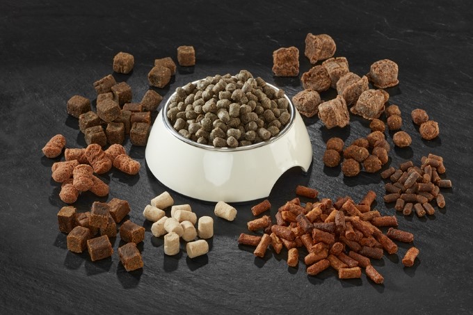Best Puppy Foods: A Comprehensive Guide to Nourishing Your Furry Friend